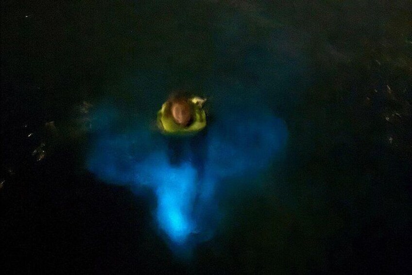 Guests swimming in the bio bay 3