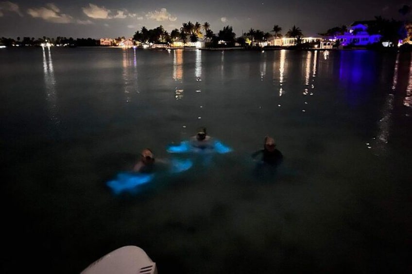 A nighttime scene with three people swimming in a body of water, illuminated by distant lights. 2