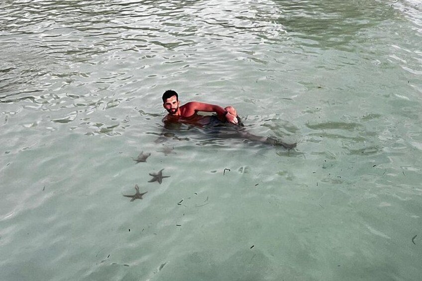 Guest with Sea Stars 2