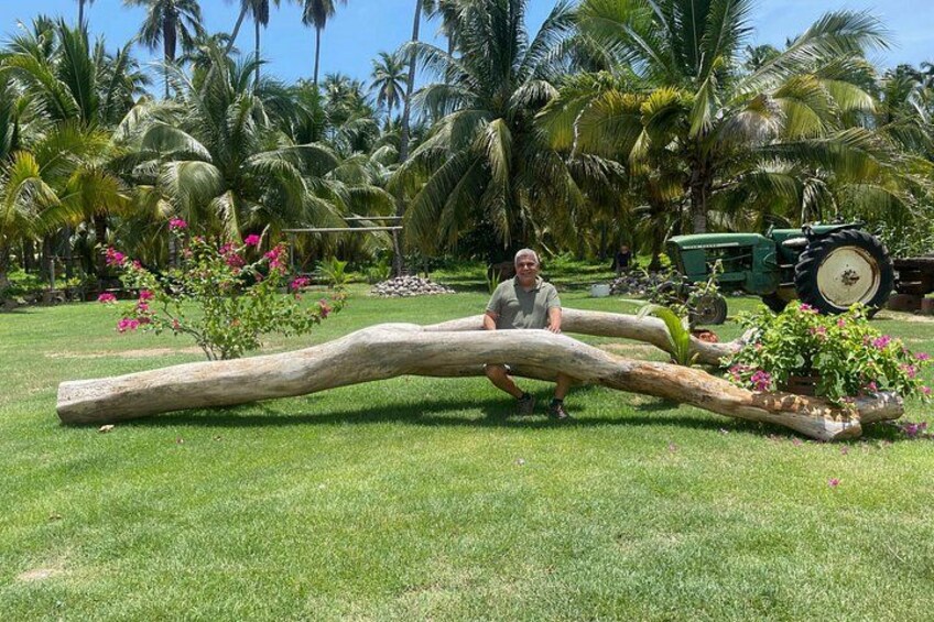 ME IN THE COCONUT PLANTATION 5