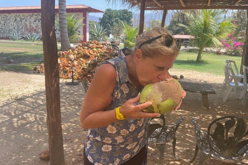 DRINK YOUR OWN COCOCNUT 2