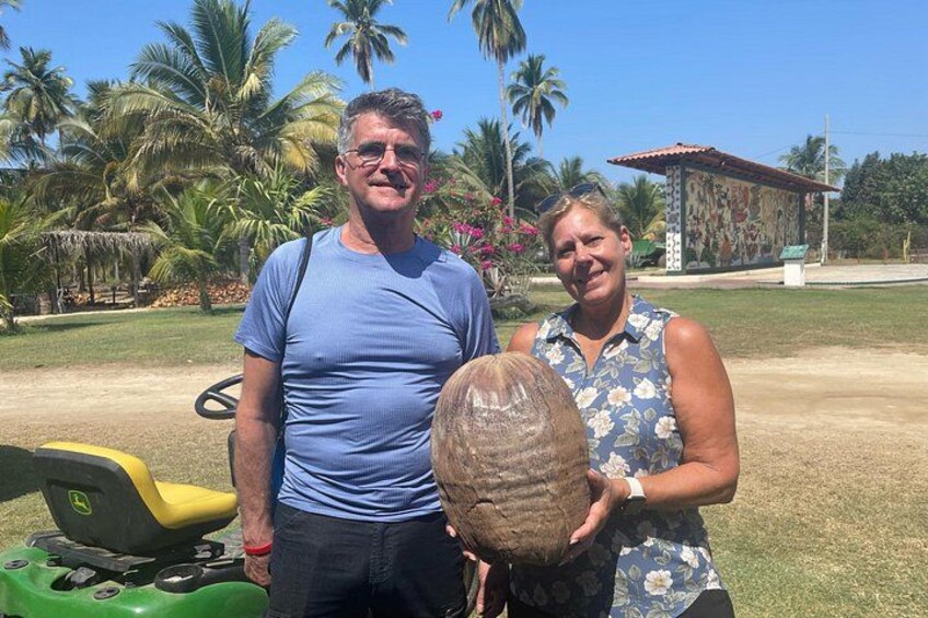 ONE OF THE BIGGEST COCONUTS 3