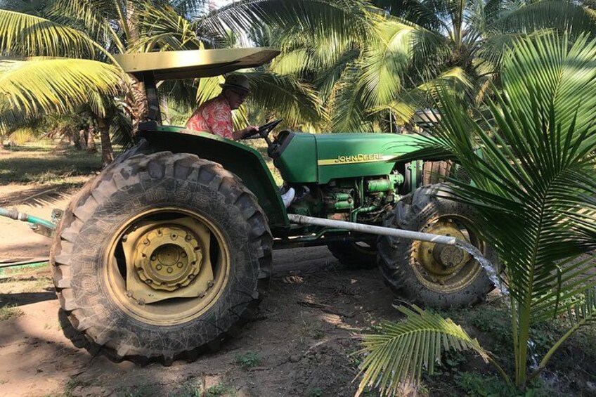 WATERING THE COCONUT TREES 1