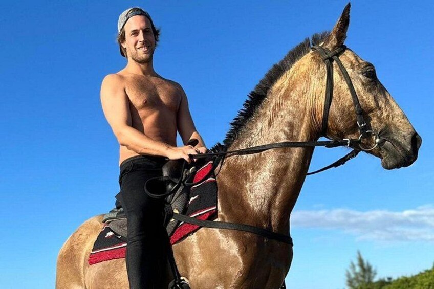 Riders paradise! Golden Boy here is a quiet & gentle horse. He too is home-bred. No riding experience needed at reggae horseback riding. Enjoy free unlimited photos & videos! 2