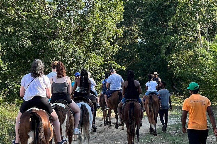 No riding experience needed as our horses are the most quiet & gentle with our lost experienced walking guides at your sides. 4