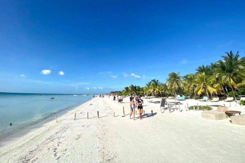 Una playa con arena blanca, palmeras y un cielo azul despejado. 5