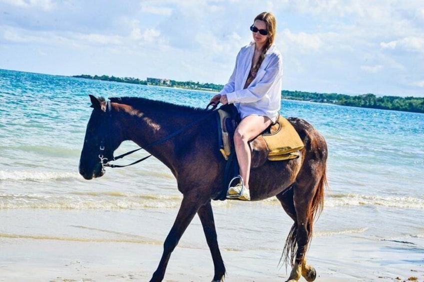 En person rider på en hest ved en strand, vand kan ses i baggrunden. 4