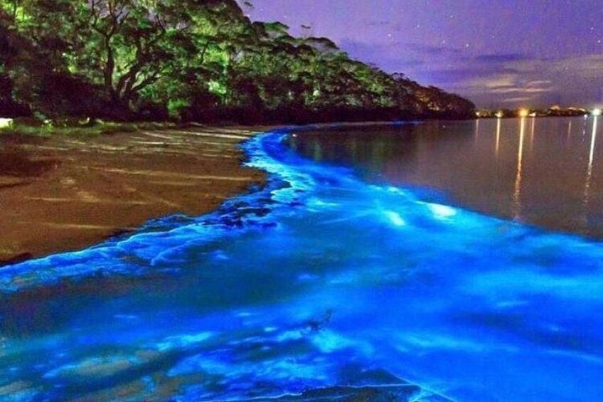 A beach at night with blue-tinted water and a rocky shoreline. 1