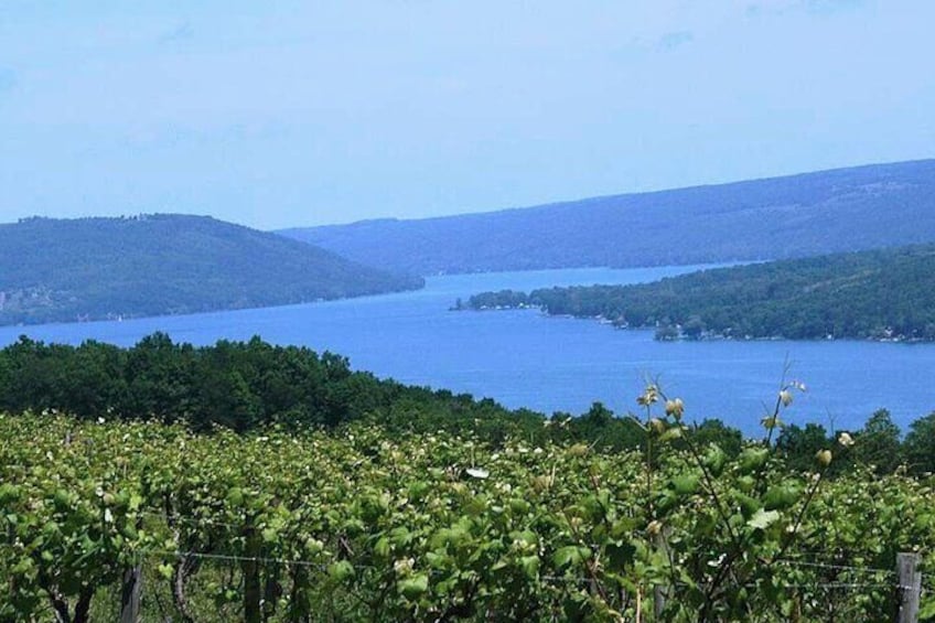 Keuka Lake Winery Tour