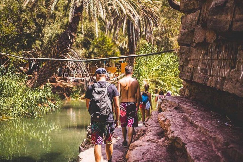 A group of people walking along a rocky path beside a body of water, with lush greenery and palm trees in the background. 5