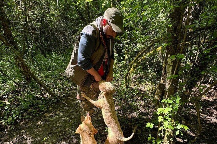 Truffle hunting adventure 3