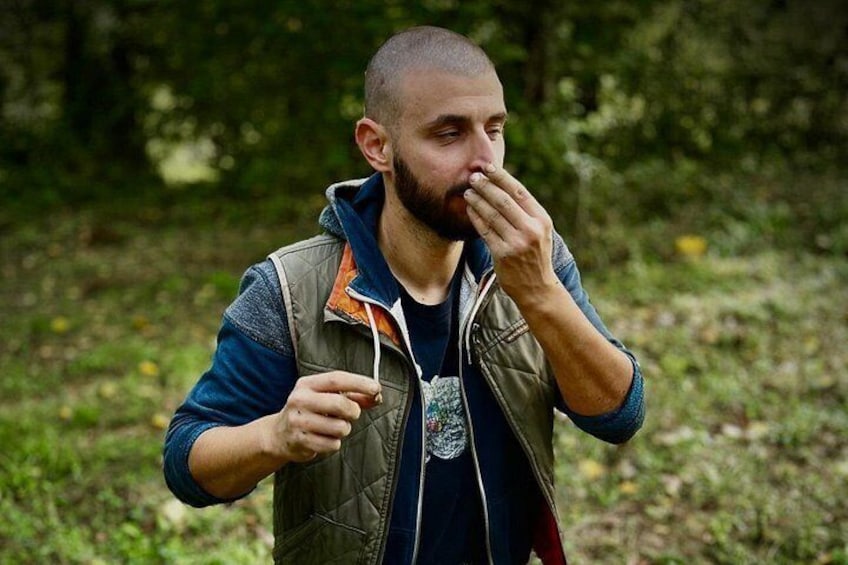 Truffle hunting adventure 2