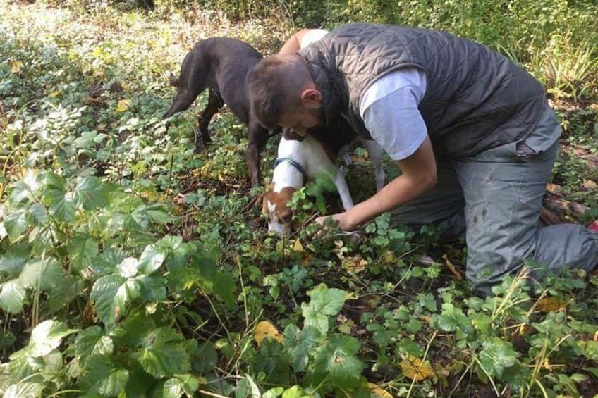 Truffle hunting adventure 1
