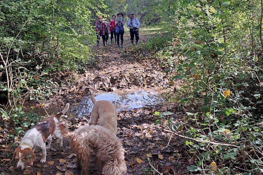 Truffle hunting adventure 5