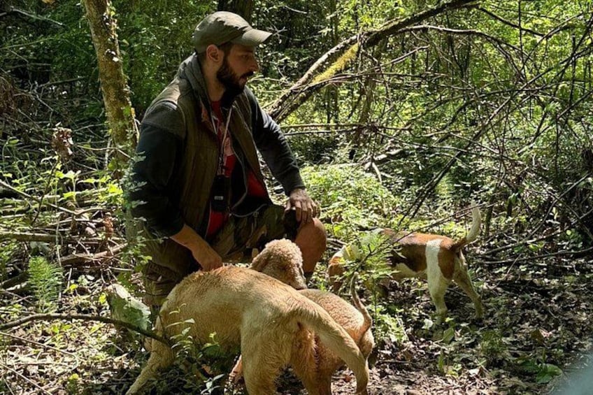 Truffle hunting adventure 2