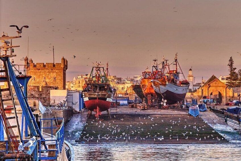 Essaouira Beach: Private Full-Day Luxury Trip from Marrakech 3