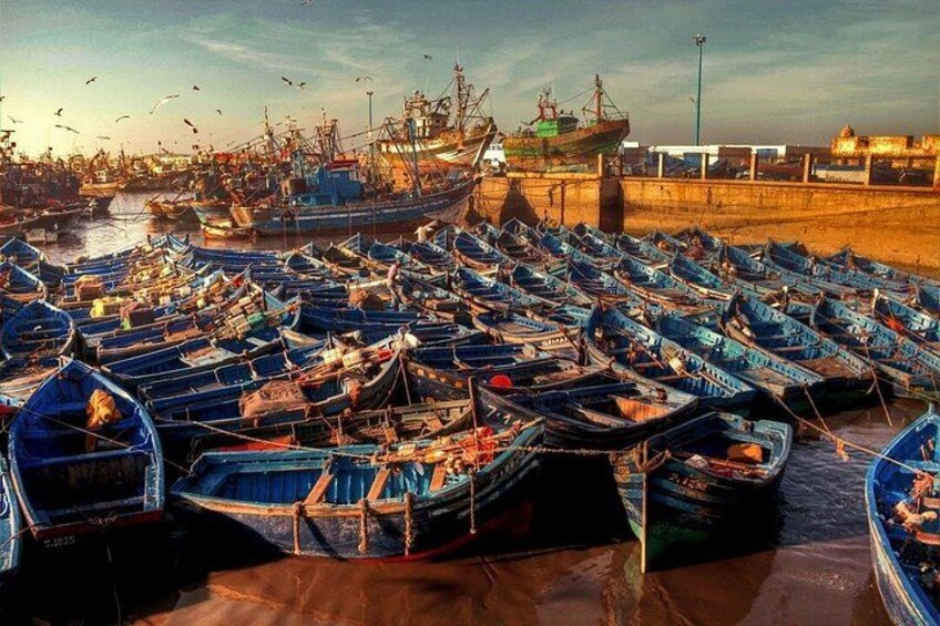 Essaouira Beach: Private Full-Day Luxury Trip from Marrakech 2