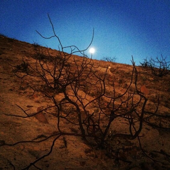 Cerro Blanco: Hiking and Adventure in the tallest Sand Dune 