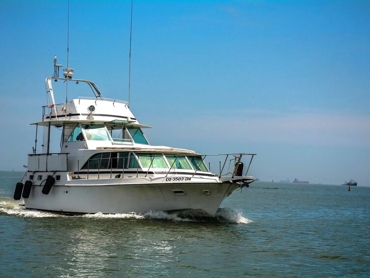 Palomino Islands: Daily Yacht Excursions