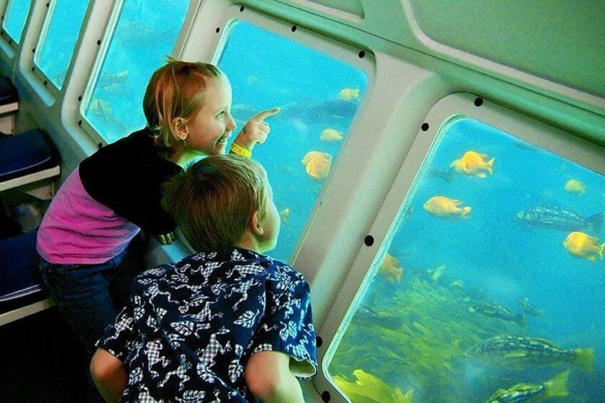 Semi Sub takes you underwater to view the abundant ocean life. Always a "wow" with the kids. 1