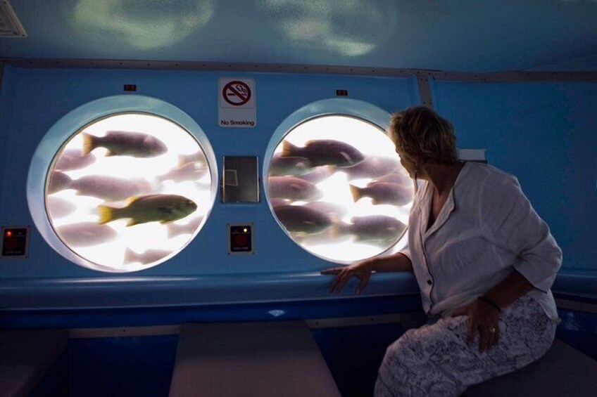 Catalina Island Day Trip from LAX area hotels with Undersea Adventure 3