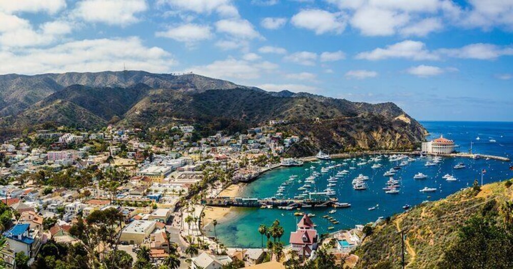 Catalina Island Day Trip from Los Angeles with Optional Upgrades 1