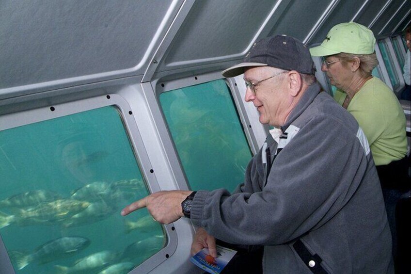 A man pointing at an underwater view through a window. 3