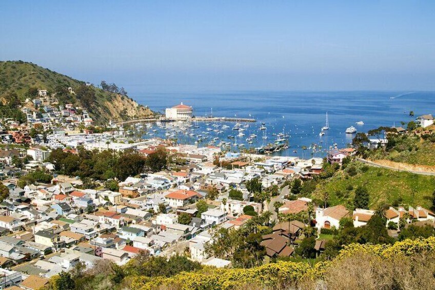 A coastal town with houses, a marina, and boats. 5