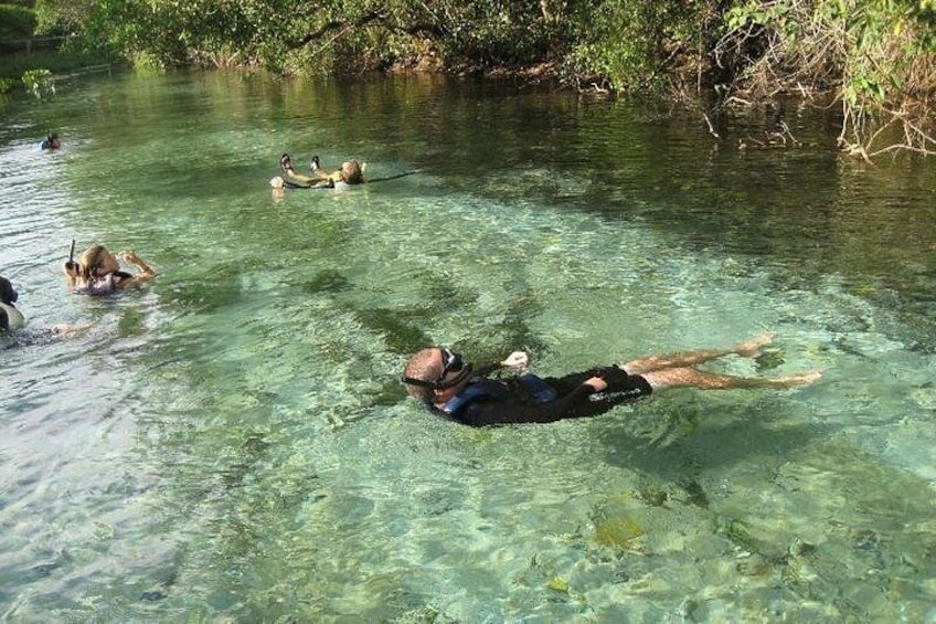 Personas flotando en un río cristalino rodeado de vegetación. 1