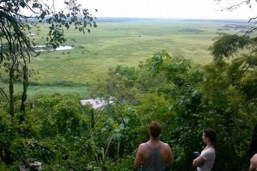Un paisaje exuberante y verde con un río y vegetación densa. 2