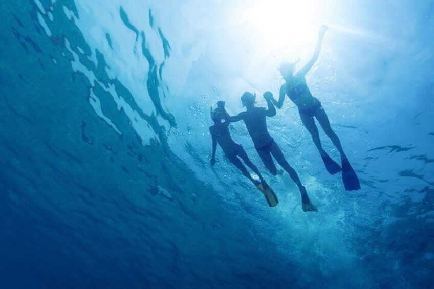 Swimming in Blue Lagooon of Budikovac island 4
