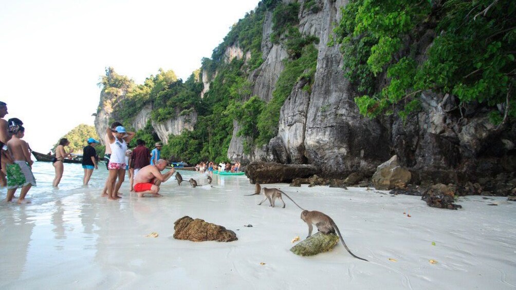 Phi Phi and Bamboo Island One Day Tour from Koh Lanta