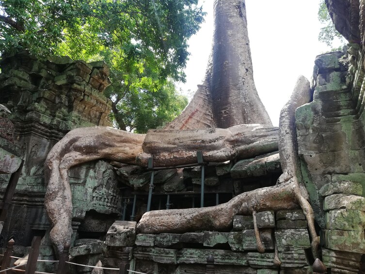 Sunrise Angkor Wat Temple Private Tour