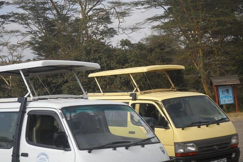 A row of vehicles with roof racks, parked outdoors with trees in the background. 5
