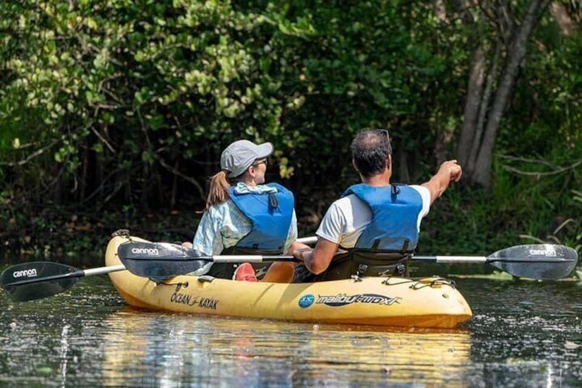 Wild & Scenic Loxahatchee River Guided Tour 2