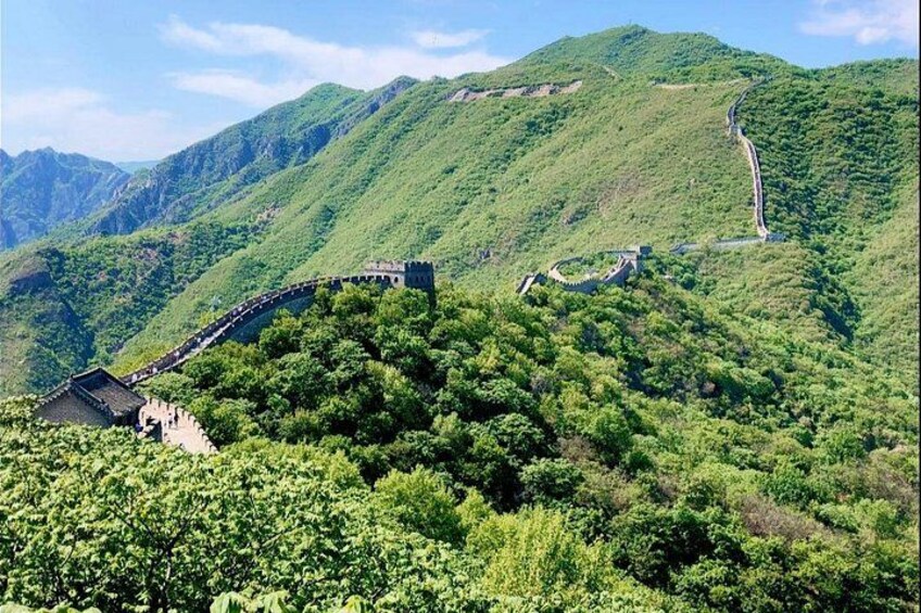 La Gran Muralla China serpenteando entre colinas verdes y exuberantes. 1