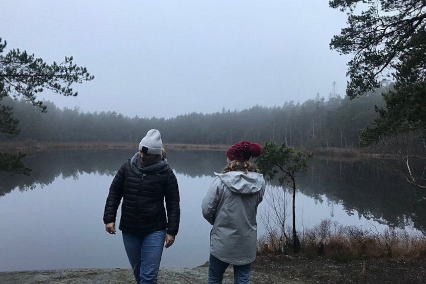 Evening Wildlife Safari with Campfire Dinner from Stockholm 5