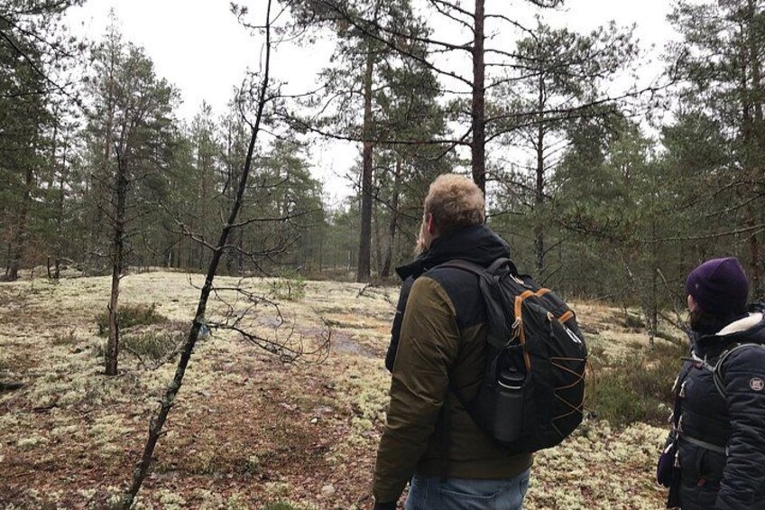 Evening Wildlife Safari with Campfire Dinner from Stockholm 2