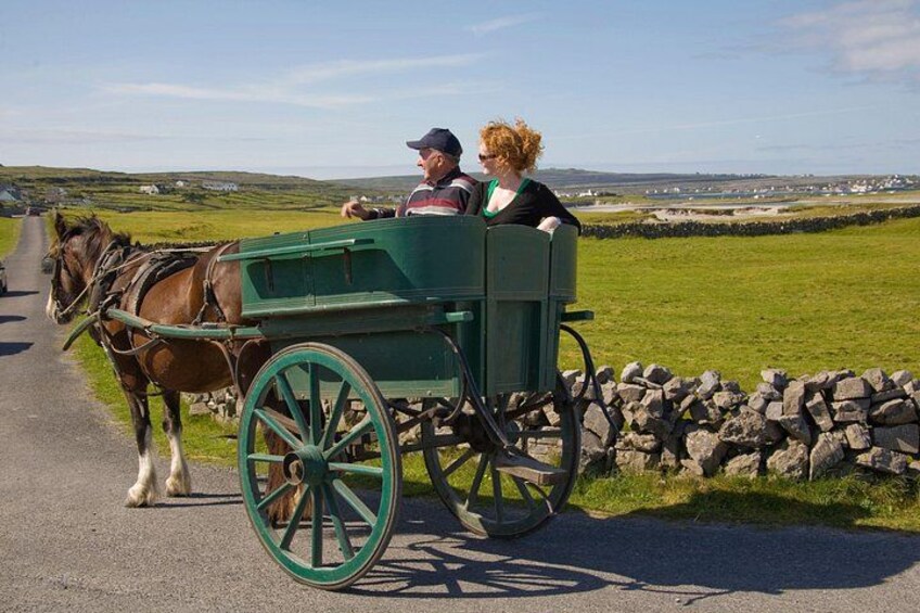 A horse-drawn carriage on a rural road with a stone wall and grassy fields in the background. 5
