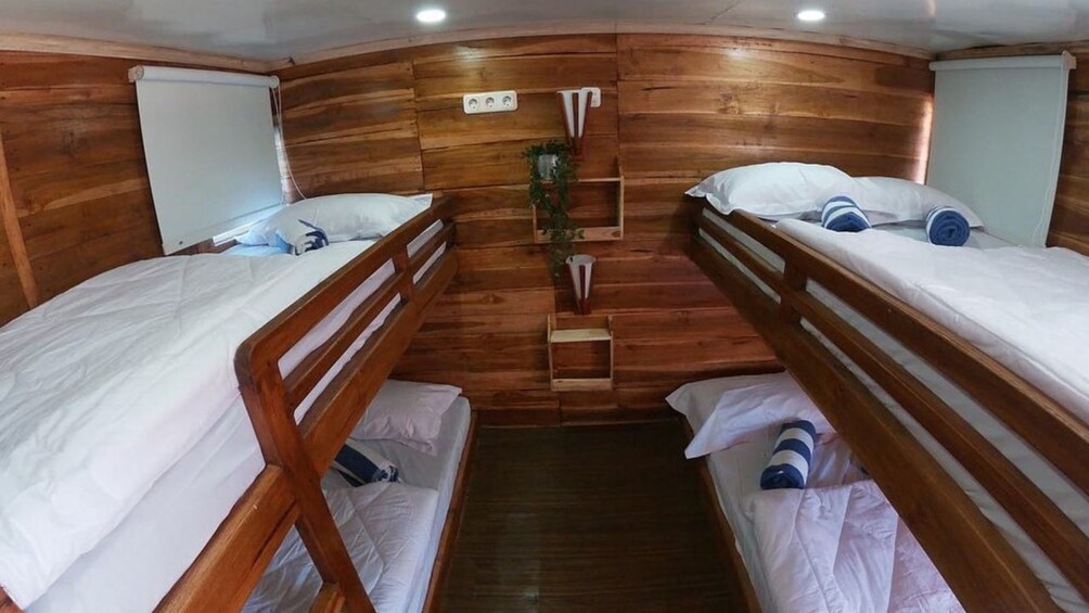 A cabin with wooden walls, bunk beds, a small plant, and a window. 3