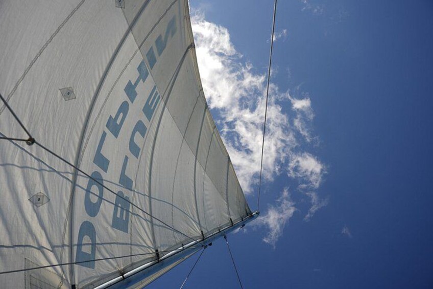 Blue Dolphin - Public Catamaran Tour - Tamarindo 2