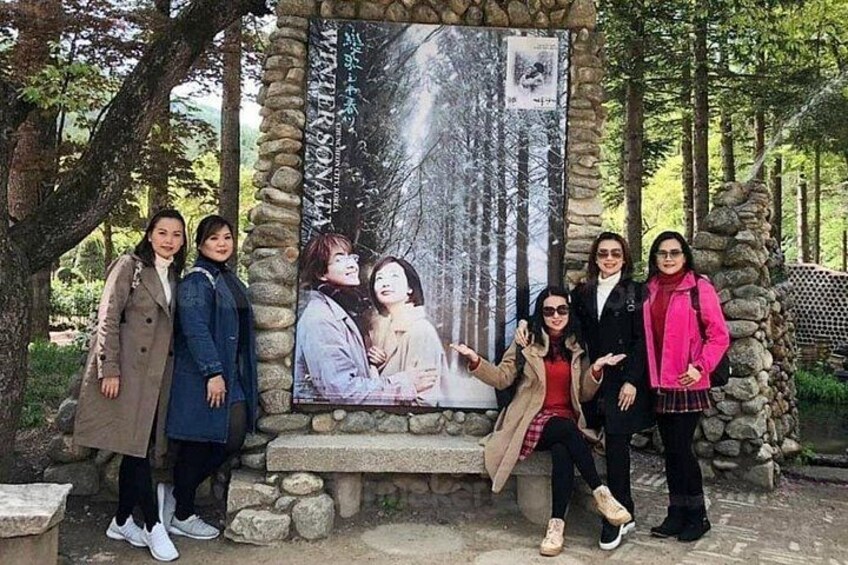 Nami Island & Nearby Attractions : Charter Van Tour With Driver 1