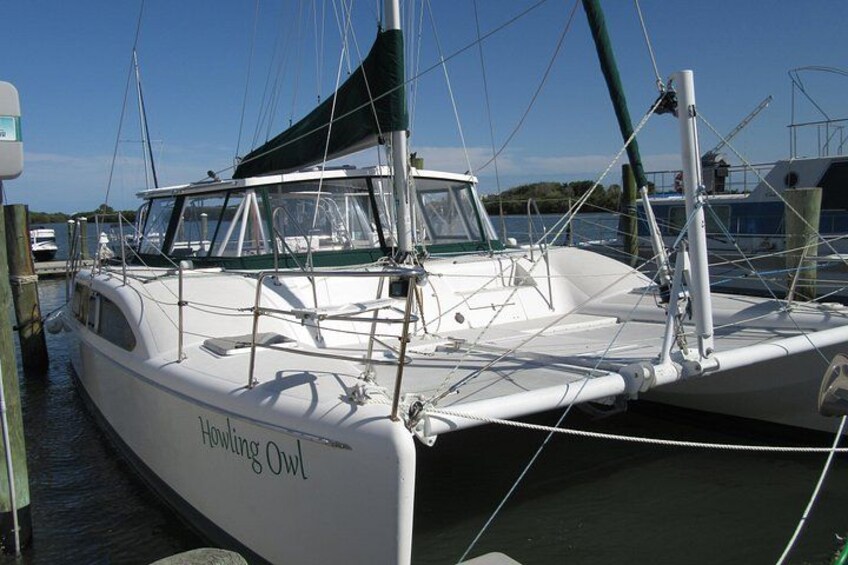 Catamaran Sailing Dolphin/Manatee Watch in Daytona Beach 3