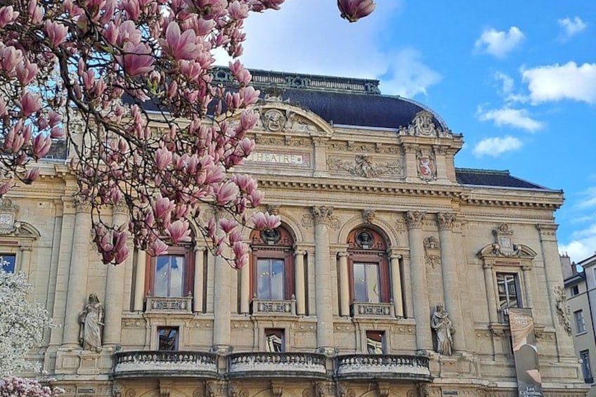 Big Traboules in Little Lyon Private Walking Tour 4
