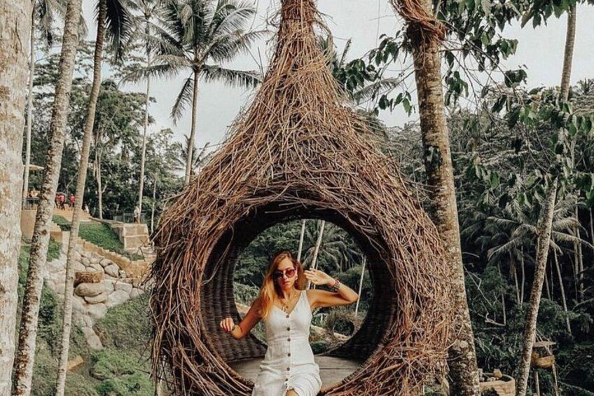A woman in a woven hammock in a tropical setting with palm trees and a stone pathway. 3
