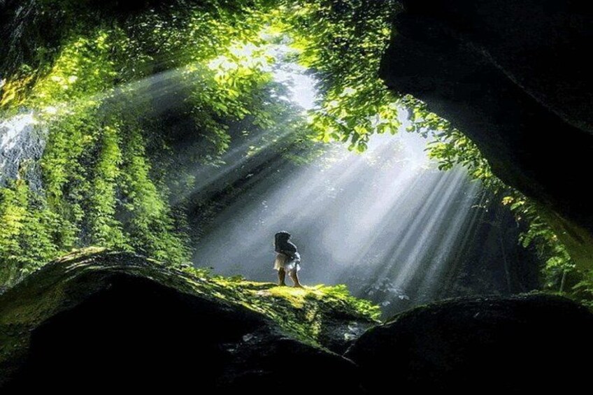 A person standing on a rock with sunlight filtering through a forested cave. 5
