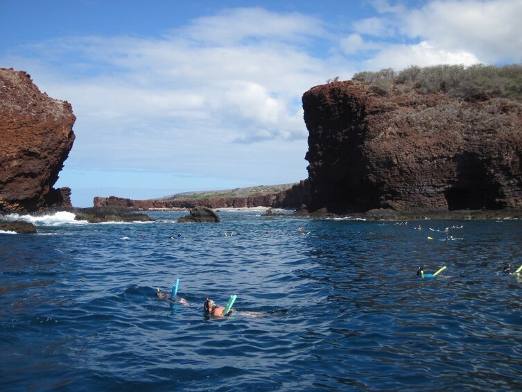 A group of people swimming in a coastal area with rocky cliffs. 3