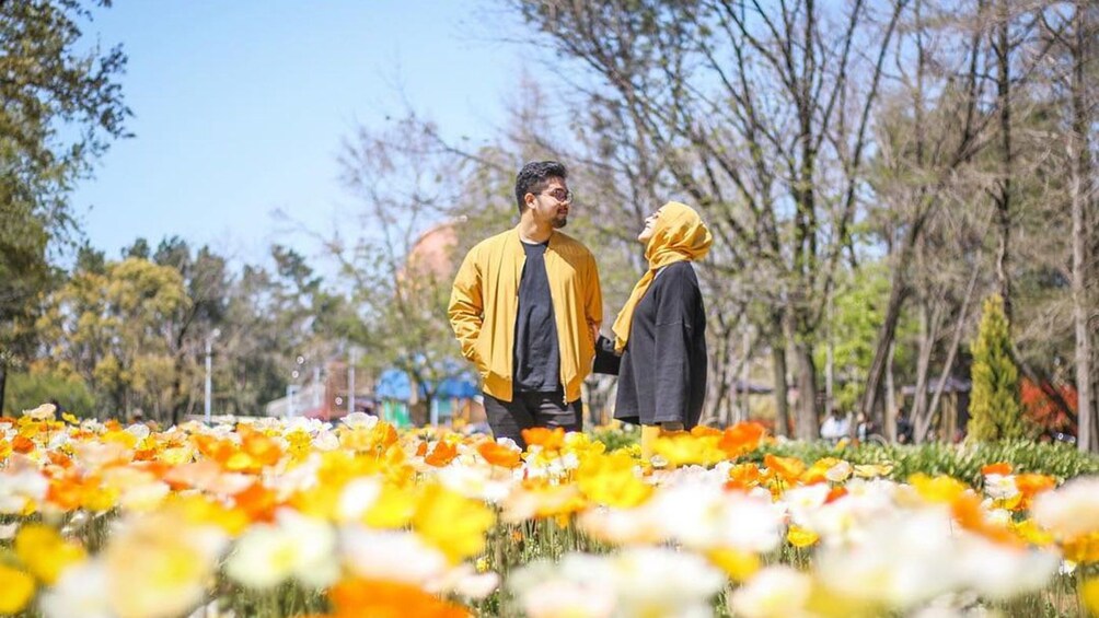 Nara Photoshoot Service by An English Speaking Photographer 5