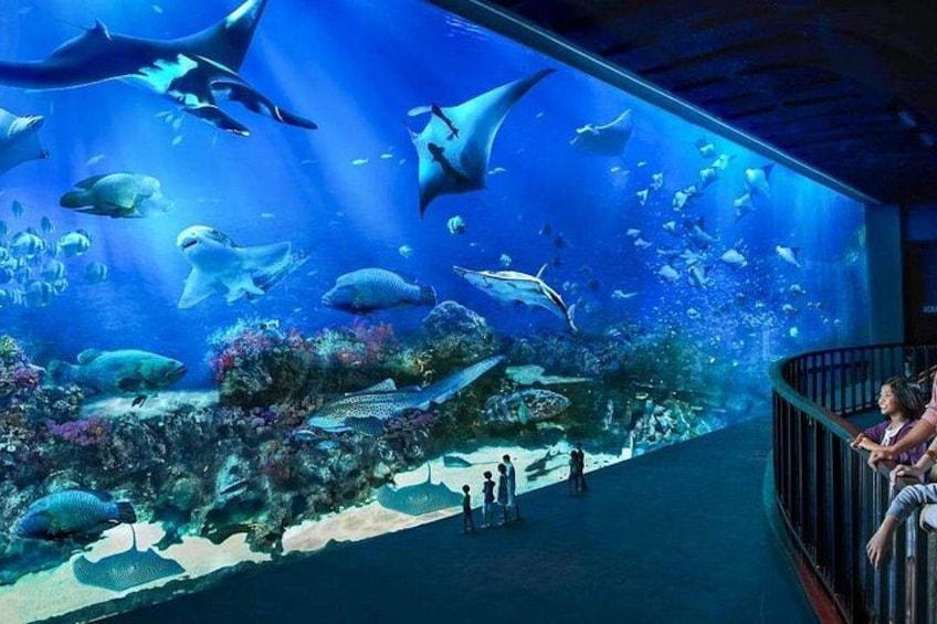 LARGEST SOUTH EAST ASIA SEA AQUARIUM 1