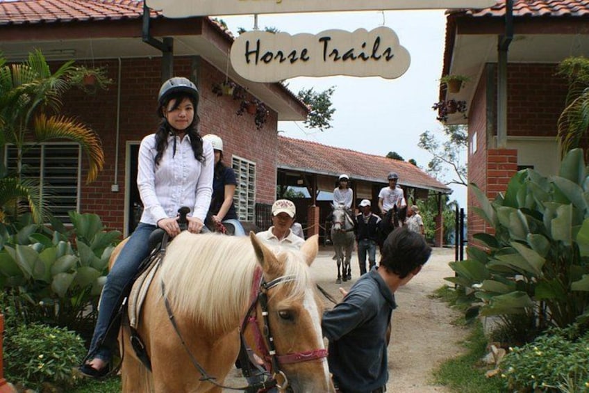 A horse riding trail with riders and horses. 4